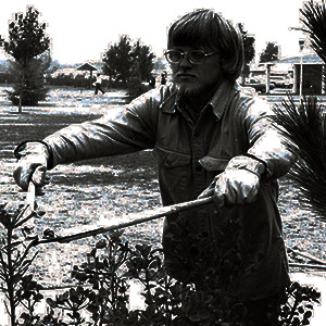 Guy trimming a bush