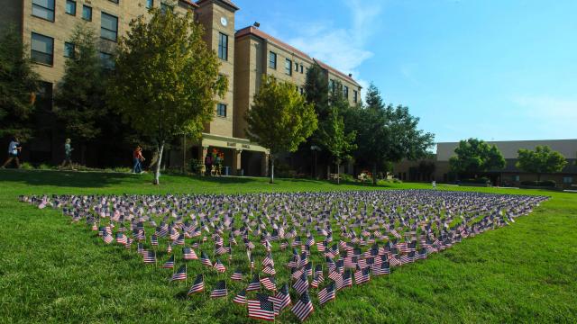 Sunbird Conservatives put 3,000 American flags on the Green in front of Jost Hall